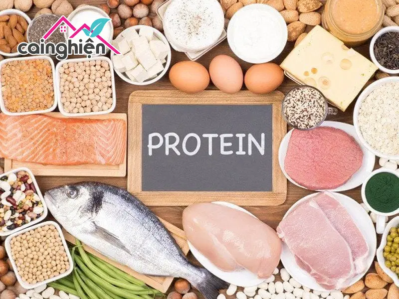 Dinh dưỡng trong quá trình cai nghiện - Bổ sung các thực phẩm giàu chất đạm (Protein)