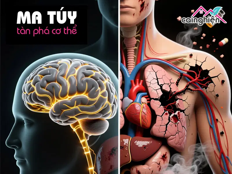 Tác hại của ma túy đến bộ não và cơ thể