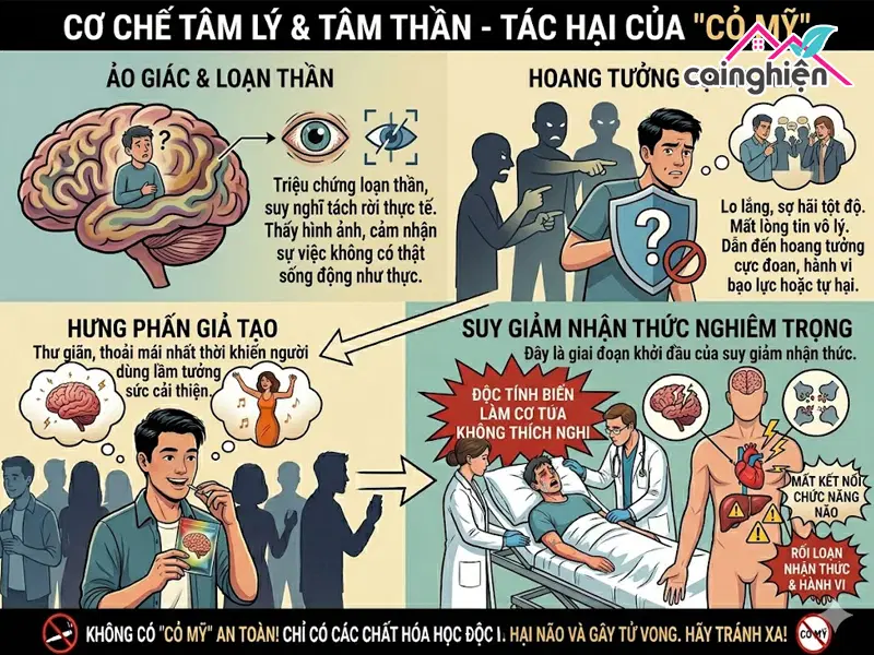 Người sử dụng cỏ Mỹ sau một thời gian có thể trải qua những trạng thái tâm thần cực đoan