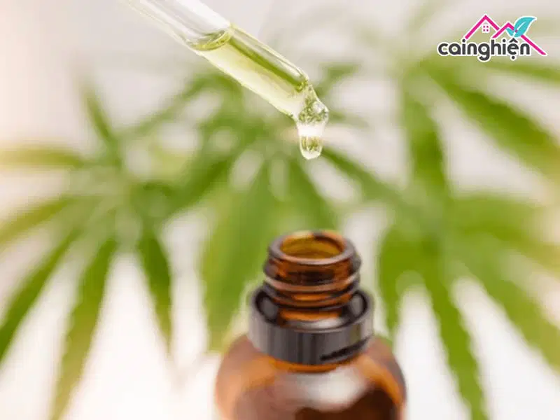 Tinh dầu CBD có bị cấm không?