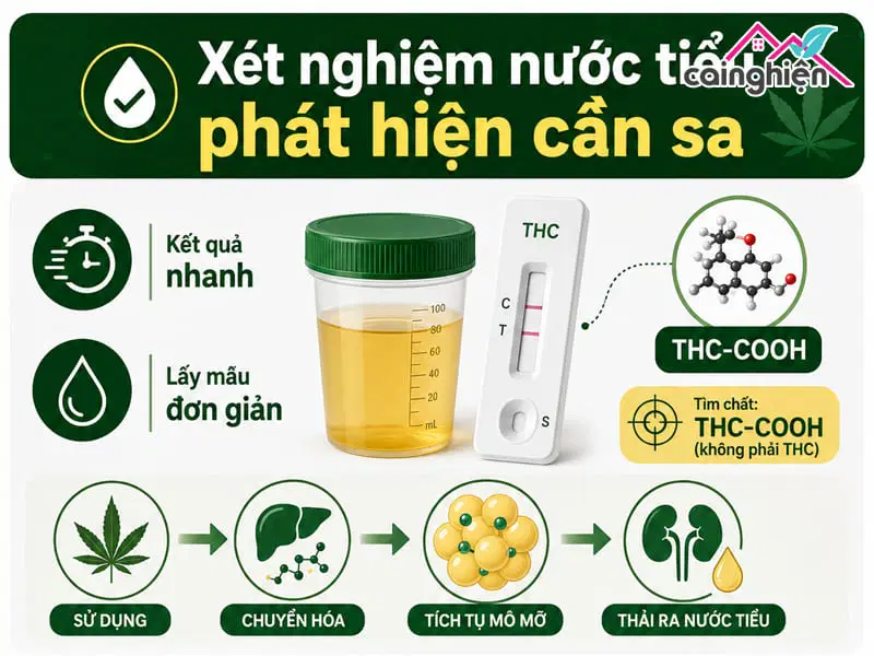 Hút cần sa test có ra không? Tồn tại trong cơ thể bao lâu?