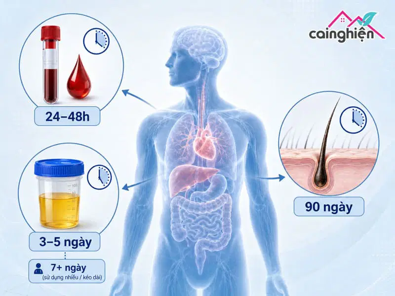 Cai ma túy đá mất bao lâu? Lộ trình 3 giai đoạn chuẩn y khoa