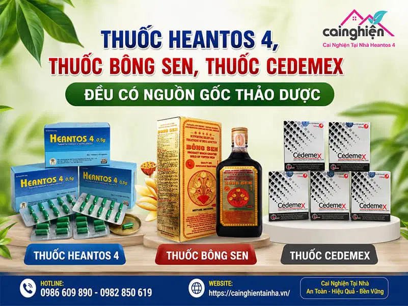 Thuốc Heantos 4, thuốc Bông Sen, Thuốc cedemex đều có nguồn gốc thảo dược